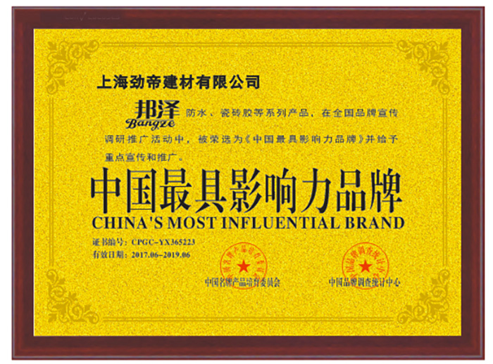 中国最具影响力品牌